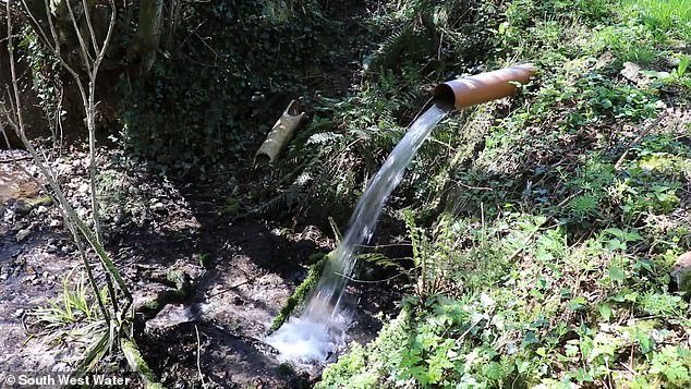 Se instalarán sensores de inteligencia artificial en los ríos del Reino Unido para brindar a los nadadores “controles de contaminación en vivo” después de que un informe de la Agencia de Medio Ambiente encontró que el 86 por ciento estaba por debajo de “bueno”.