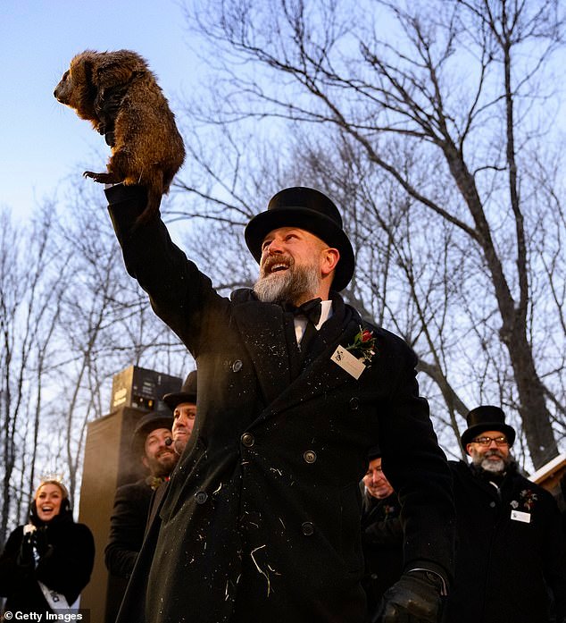 Tormento para los estadounidenses hartos del frío interminable mientras Punxsutawney Phil hace un pronóstico MUY terrible sobre el clima venidero