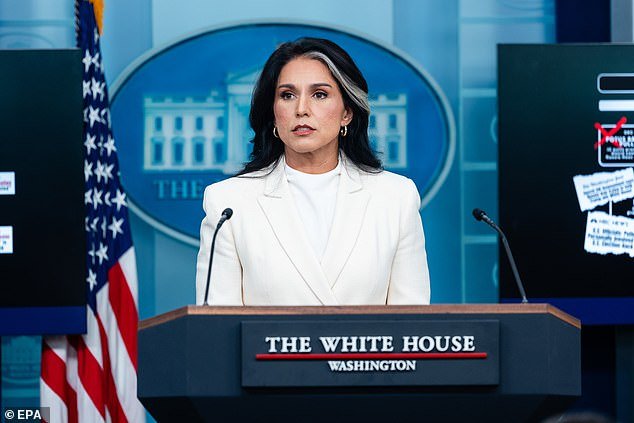 La denuncia secreta de un denunciante contra Tulsi Gabbard conmociona a Washington: “Daño significativo a la seguridad nacional”