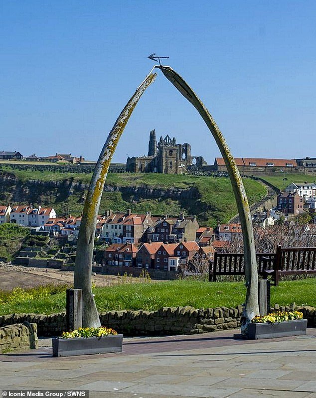 Una disputa por una escultura icónica en un hermoso lugar costero de Yorkshire está estallando mientras el consejo considera huesos de ballena reales.