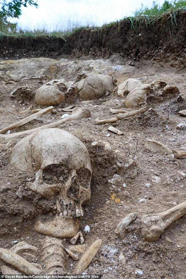 En las afueras de una ciudad británica se ha encontrado un foso de la época vikinga lleno de cuerpos decapitados y mutilados, incluido un “gigante” con un “agujero en el cráneo”.