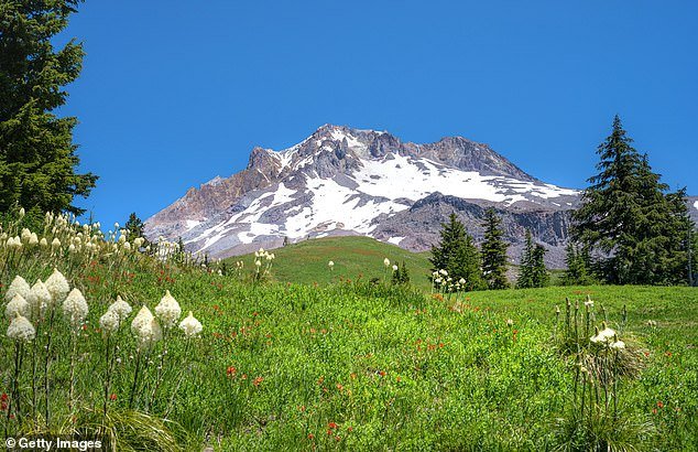 La falta de nieve está destruyendo las pistas de esquí de muchas de las estaciones de esquí más populares de Estados Unidos.