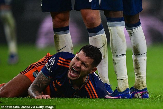 Newcastle sufrió una grave lesión de Bruno Guimaraes cuando salió a la luz el alcance total de su problema en el tendón de la corva, y el récord de la Premier League que podría significar un desastre para los Magpies.