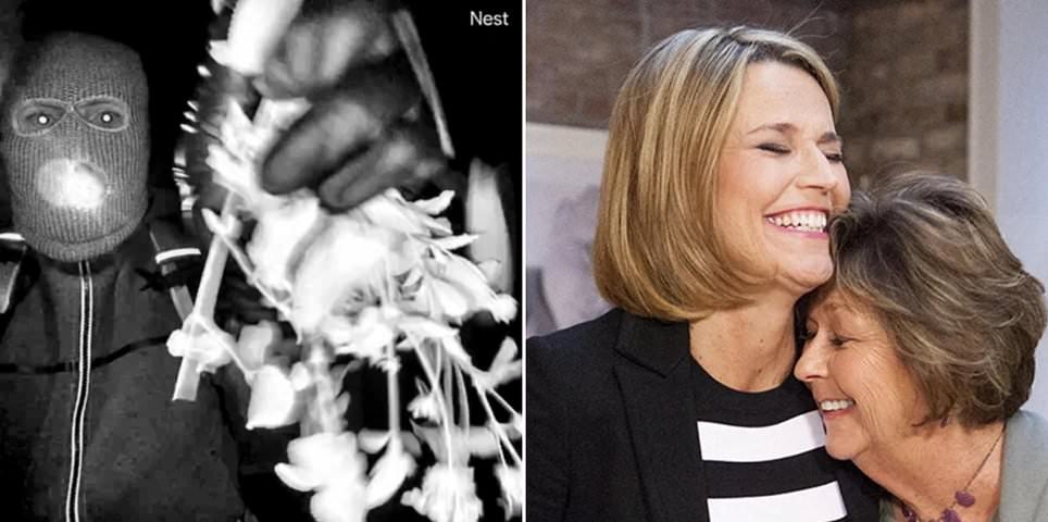 Oficiales de policía de Nancy Guthrie revelan que la ropa usada por la cámara del timbre del sospechoso fue comprada en Walmart mientras los investigadores ‘se alejaban’ de la participación familiar: actualizaciones en vivo