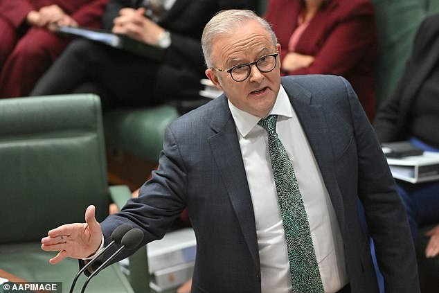 Anthony Albanese lanza una advertencia amenazante a las novias de ISIS que intentan regresar a Australia