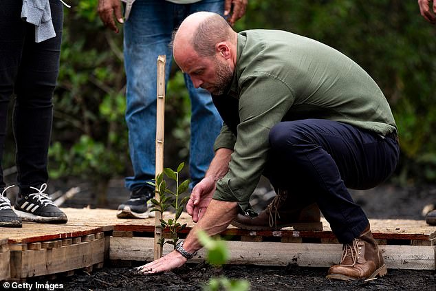 La ceremonia del Premio Earthshot del Príncipe William se llevará a cabo en India este año mientras el heredero al trono pide “urgencia y optimismo” para abordar la crisis climática.