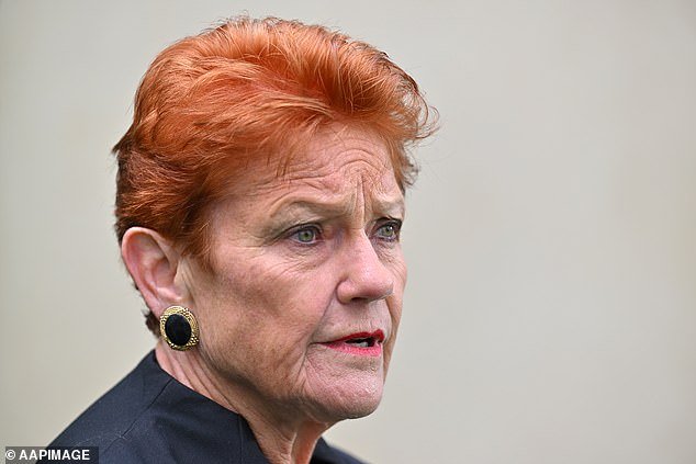 Pauline Hanson, suburbio de Sydney, dice que “la gente no puede ir allí” sin sentirse insegura