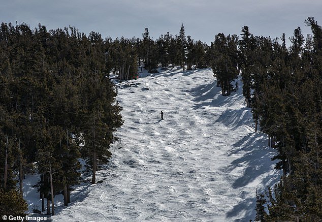 Dos esquiadores más mueren en Lake Tahoe, pocos días después de que una terrible avalancha se cobrara ocho vidas
