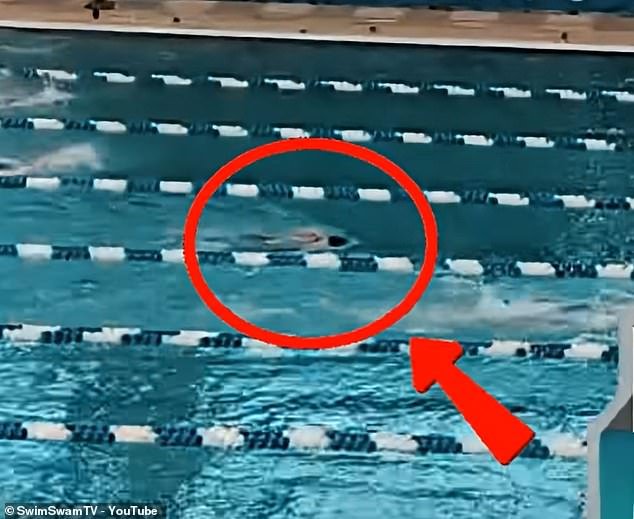 Momento aterrador: la estrella de la natación de Stanford, de 20 años, nada boca abajo en la piscina antes de colapsar