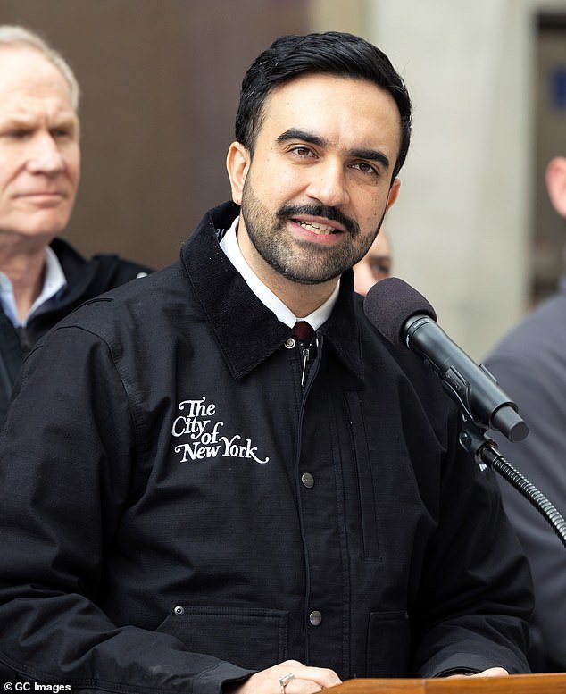 El alcalde de Nueva York fue duramente criticado por exigir varias identificaciones para palear nieve, mientras que su facción socialista afirmó que no era necesario votar.