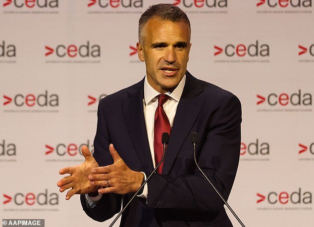 Mientras el comentario de limpiarse el trasero del primer ministro de Australia del Sur, Peter Malinaukas, divide a Australia, esto es lo que creo que está TAN mal en el comentario sarcástico sobre la inmigración: PETER VAN ONSELEN