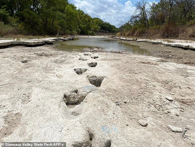 Un nuevo centro de datos de IA podría DESTRUIR un parque de dinosaurios de 100 millones de años