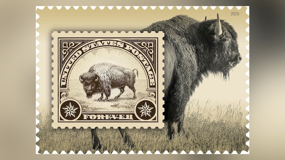 MIRAR: El próximo sello postal de EE. UU. presenta al bisonte de Yellowstone