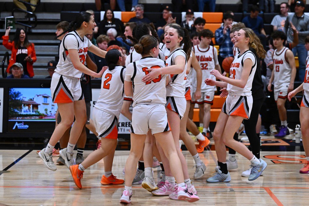 Las chicas de Los Gatos derrotaron a Homestead para avanzar al juego de campeonato de la División I de CCS