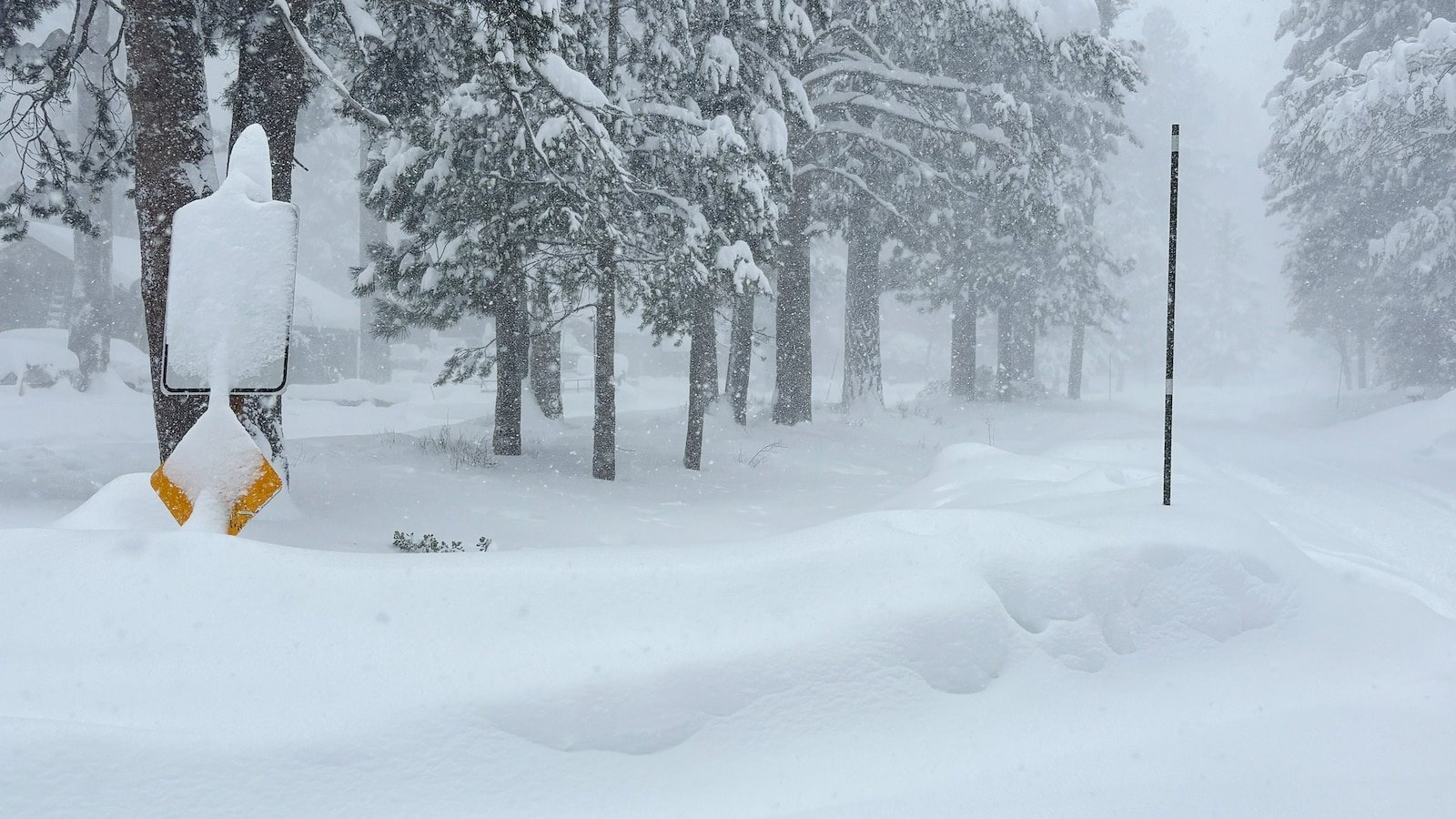 Varios esquiadores de travesía desaparecidos tras una avalancha en el norte de California: autoridades