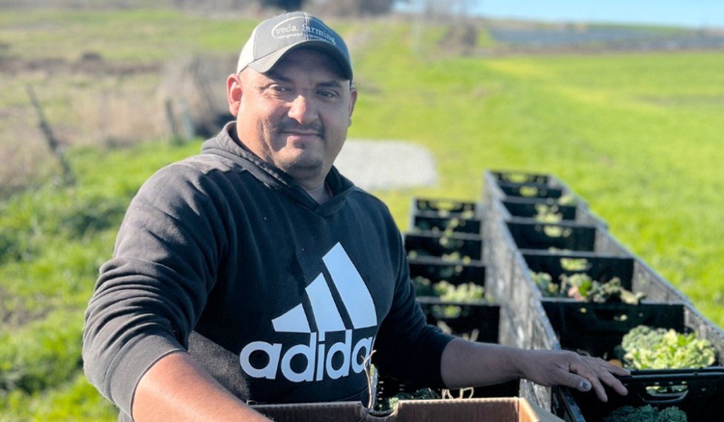 Los recortes federales podrían acabar con el programa de bancos de alimentos de la granja de California – The Mercury News