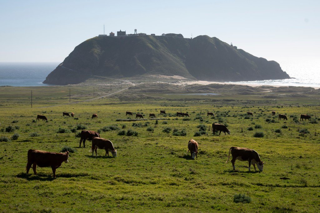 Los mejores destinos de luna de miel del mundo: California, Europa y más allá