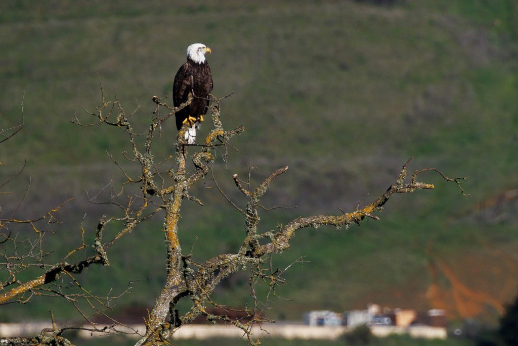 La compra de Sargent Ranch es resultado del trabajo en equipo