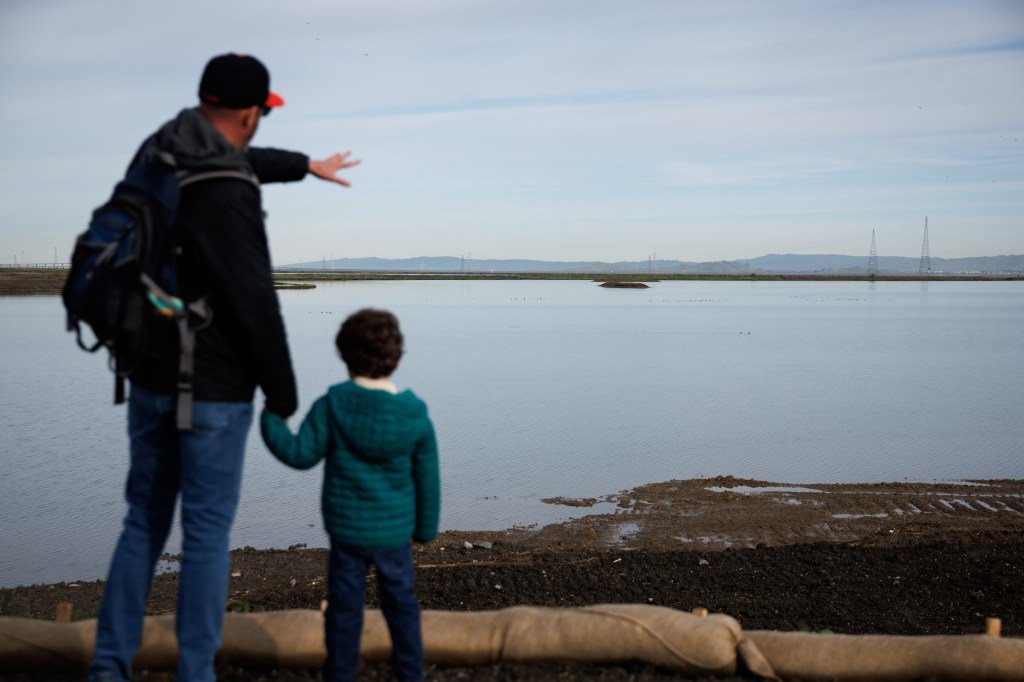 Funcionarios anuncian la finalización de la restauración por 20 millones de dólares de un estanque salado en Mountain View – The Mercury News