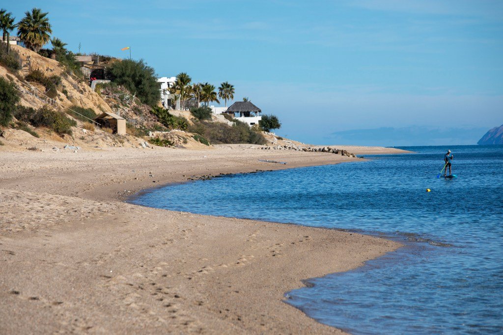 No permitamos que las exportaciones de gas natural destruyan el ecosistema del Golfo de California