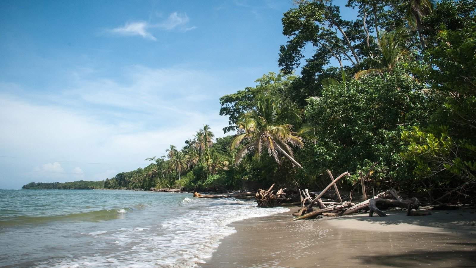 Las autoridades dicen que el surfista estadounidense Kurt Van Dyke fue encontrado asesinado en Costa Rica