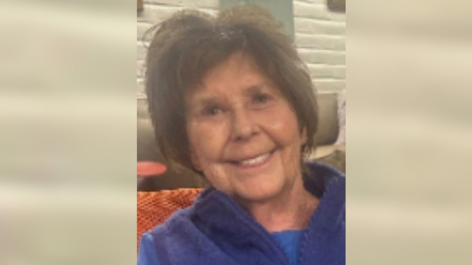 Se demuestra que las muestras de ADN tomadas en casa provienen de la madre desaparecida de Savannah Guthrie: Sheriff