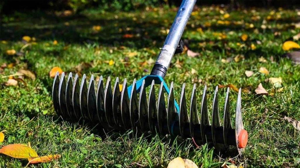 Cuándo escarificar su césped – The Mercury News