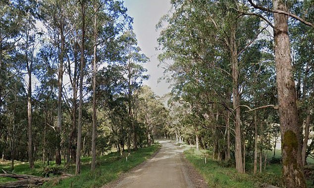 Un hombre muere tras un ataque a un camping; el sospechoso se da a la fuga