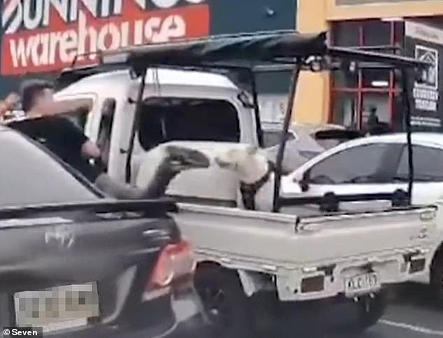 ‘Low Life Stranger’ enfrenta cargos después de que la cámara captara un acto horrible afuera de Bunnings