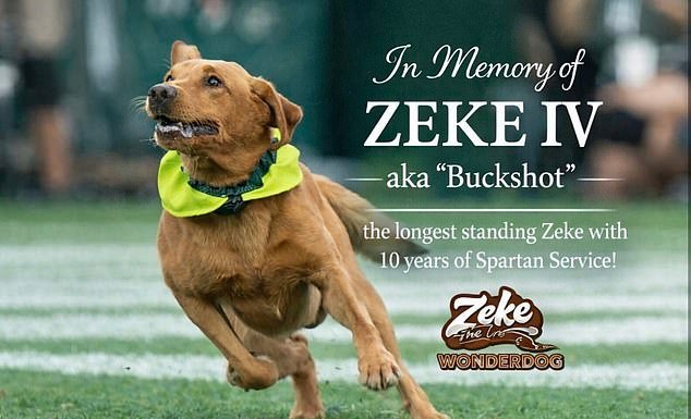 Equipo universitario lamenta la muerte de su querida mascota por cáncer