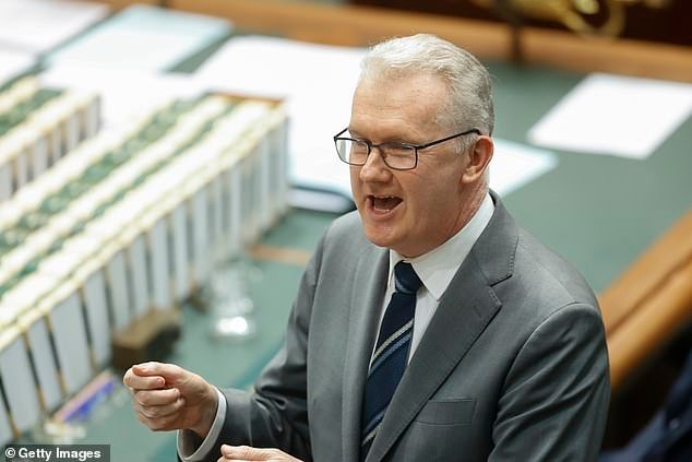 Momento dramático: El Partido Laborista bloquea un proyecto de ley que prohíbe a terceros ayudar a las novias de ISIS, mientras Tony Burke denuncia un proyecto de ley “malo”