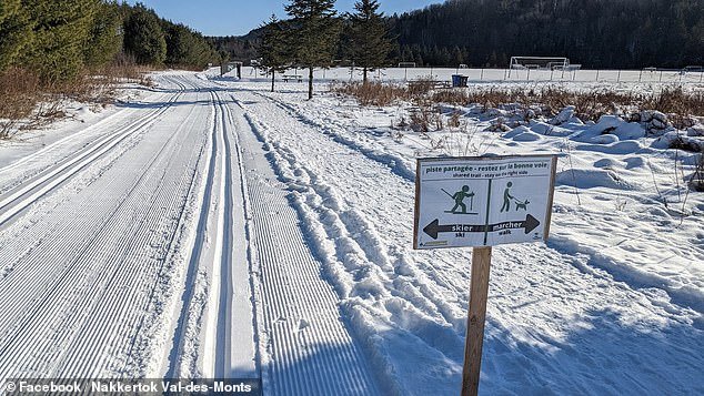 Una niña de 4 años murió en un extraño accidente de trineo mientras un adulto la arrastraba por la nieve