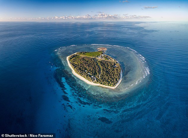 Horror cuando un hombre es atacado por un tiburón frente a la isla Lady Elliot, cerca de la Gran Barrera de Coral