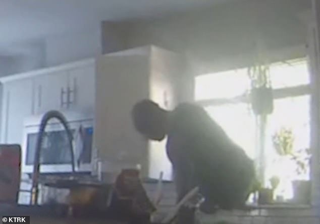 El ladrón de ‘Spiderman from Hell’ aterroriza la ciudad de Texas al colarse en casas a través de DOG DOGS y pequeñas ventanas