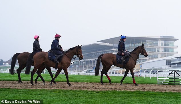 ED CHAMBERLIN: ¿Mi gran consejo para el Festival de Cheltenham? Espere lo inesperado en un viaje emocionante