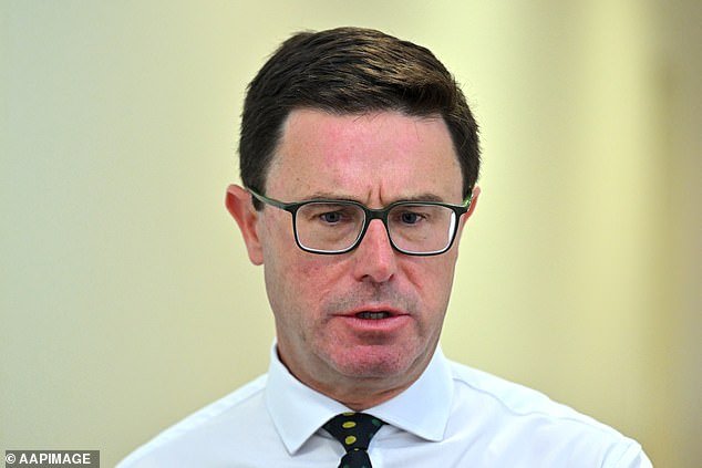 David Littleproud renuncia: el líder de los Nacionales lucha por contener las lágrimas mientras renuncia y admite: “Ya terminé y ya tuve suficiente”