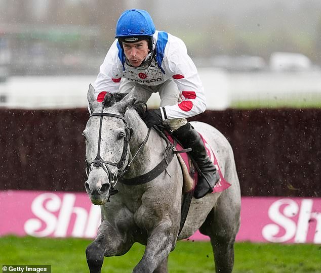 CONSEJOS PARA EL FESTIVAL DE CHELTENHAM – DÍA DOS: Por qué L’Eau Du Sud puede ganar Champion Chase… y no se pierda nuestra perspectiva de 14-1 para la carrera inaugural