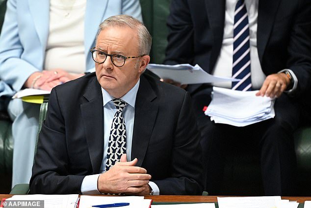 Un gobierno de cobardes nos está llevando a una catástrofe económica, pero la solución es obvia… si Albo tuviera el coraje: PVO