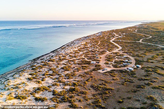 Horror cuando una mujer es mordida por un tiburón en el campamento Kurrajong en Exmouth