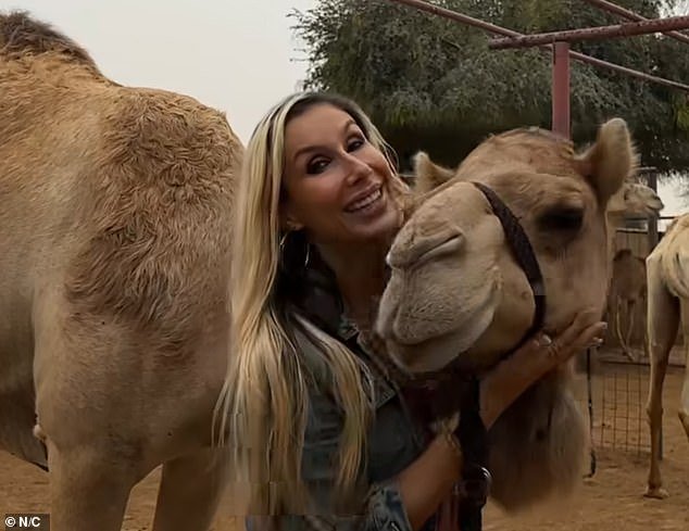 ¿Tienes problemas con Dubái? A los británicos se les ofrece una terapia de abrazo de camello en atracciones vacías desesperadas por turistas en la ‘ciudad fantasma’ del desierto