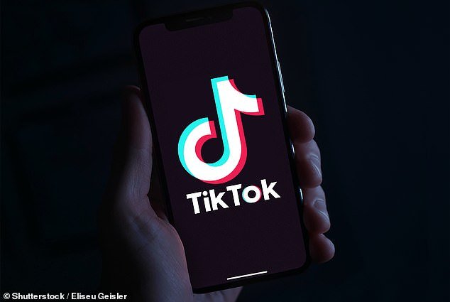 Niños de hasta cinco años están “transmitiendo en vivo contenido pornográfico en TikTok para que los pedófilos financien videojuegos”, advierten expertos de la policía