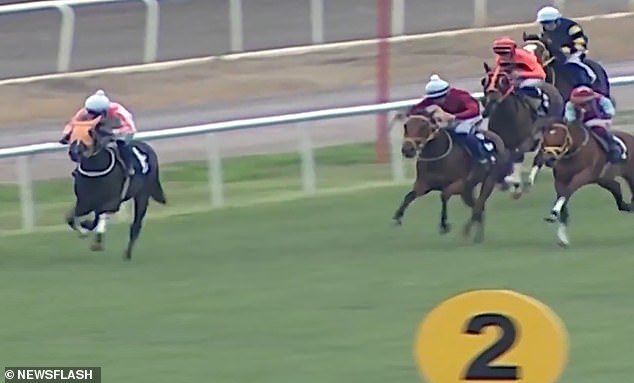 Indignación por la muerte de un caballo de carreras campeón y su servicio a invitados desprevenidos en un comedor comunitario administrado por la comunidad