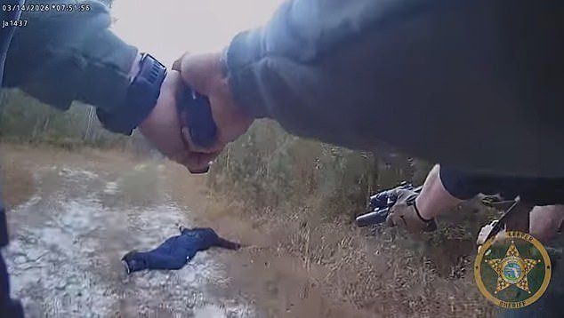 Han surgido imágenes aterradoras del arresto de un presunto asesino cerca del Players Championship en Florida.