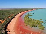 Siete personas resultaron heridas en un terrible accidente aéreo frente a la costa de Broome, Australia Occidental