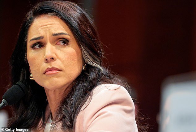 El círculo íntimo de Trump está enojado por los rumores “tontos” de que Tulsi Gabbard quiere renunciar por la guerra de Irán. Los conocedores dicen que irse haría que el presidente pareciera un “belicista”.