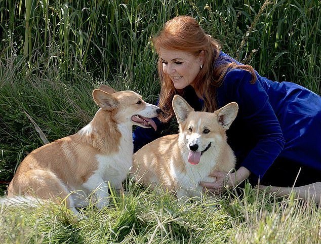 El plan de Fergie para clonar los corgis de la Reina para reality shows: Justo cuando pensabas que la exduquesa no podía hundirse más, revelamos el extraordinario plan para vender réplicas genéticas de las queridas mascotas de la monarca