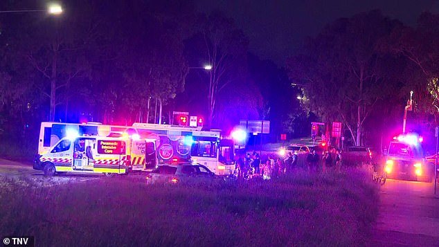 Momento desgarrador: una familia observa cómo los paramédicos pierden la batalla para salvar a dos niños que mueren en un accidente de bicicleta eléctrica con un autobús, mientras se debate si se debe permitir que los niños las usen