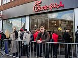 The Morning Poll: Dadas sus creencias, ¿comerías en Chick-fil-A?