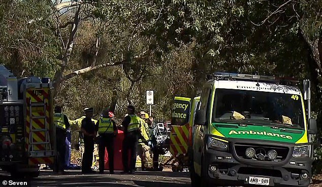 Actualización importante después de que una mujer fuera atropellada por su propio coche
