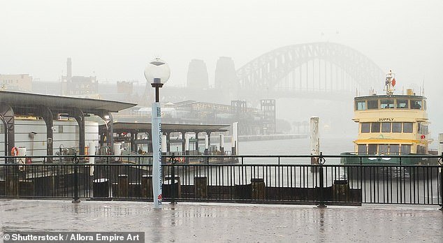 Ferries de Sydney cancelados debido a condiciones costeras “mortales”